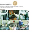 속초젓갈 이미지