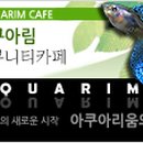 간석1동-13 이미지