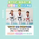 드림태권스쿨 이미지