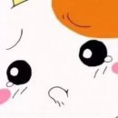 나도나도 이미지