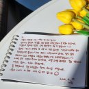 지호(Jiho) | 가족 여행 맛집 추천 / 부모님도 아이도 만족한 한식집 (시드니 시티 초중심 호스트의 내돈내산 솔직 후기)