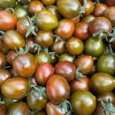 이마트24 부산대저점 | [부산 대저 흑대추방울토마토] – 짭짤한 단맛과 찰진 식감,작은 사이즈에 고스란히 담았다면?