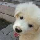 옥구지구대 이미지