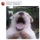 지마카롱 | 재범아군대가지마…