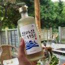 강타펜션 | 남양주 캠핑 느낌 펜션에서 야무지게 놀고 먹고 온 연휴,,, 하 좋았다