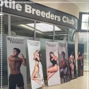 메가나인 휘트니스 이미지