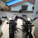 쌍둥이부분정비 이미지