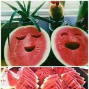 햇볕은쨍쨍 Daum카페