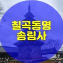 송림사 명부전목조시왕상과 제상 | 대구인근여행지 칠곡 동명 송림사