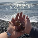 햇살좋은펜션 이미지