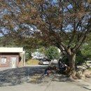 개좌골 추어탕 이미지