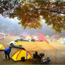 제 5회 alpine tent 캠핑축제-참가신청 이미지