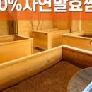 숲속야영장 휴림 네이버블로그