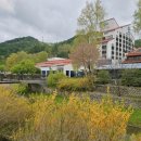 황금성인오락실 | [평창] 5월 황금연휴 아기랑 모나 용평 2박3일 후기 빌라콘도 숙박, 조식까지 솔직후기