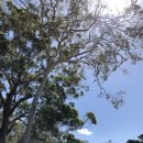 시니 케어 이미지