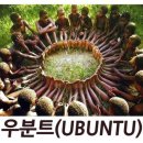 우분트(UBUNTU) 란 말 아시나요 이미지