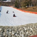 한국체대천마태권도장 이미지