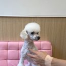 컴피 화명점 이미지