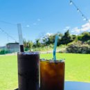 봄이야 놀자 이미지