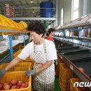 설천 농산물산지유통센터 이미지