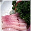 웃는돌 참치 이미지