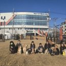 [행복한학교]차와 문화 이미지