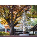 망향(부산) 이미지