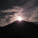 머루다래 이미지