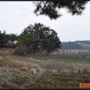 용사리마을회관 이미지