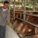 고대미농장 이미지