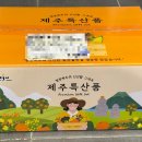 귤팡 이미지