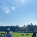 용마목장 이미지