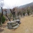 푸른꽃농원 - 고양시 일산동구 식사로 3 | 푸른꽃농원