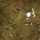 김승환 농장 이미지