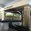 헬로우 키즈 스위밍 | 괌 니코호텔::니코 괌(HOTEL NIKKO GUAM)호텔 추천!