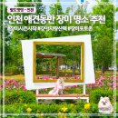 늘솔길근린공원 | 인천 장미 명소 추천 | 늘솔길공원 장미원 애견동반 산책 후기