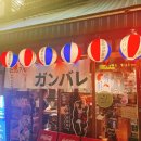 고고 268 이미지