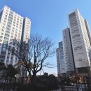 명당로제비앙공인중개사사무소 네이버블로그
