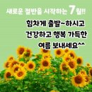 7월2일 목요일 무료한일상 출석이라도 하시죠~~~ 이미지