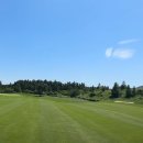 사이프러스 이미지