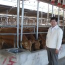 부농축산 이미지