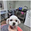 인제호텔 이미지