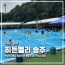 장흥상회 | 양주수영장 '히든벨리 송추' 취사 가능 수영장 솔직 후기! 명당 평상 자리, 준비물, 예약 꿀팁 총정리