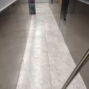 대화약품(주) 이미지