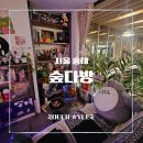 목마찻집 | [홍대 카페] 아지트 발견! 분위기 좋은 레트로 감성 이색 카페 숲다방