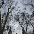 여운이네 이미지