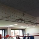 YM복싱클럽 이미지