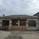 카페닐스 이미지