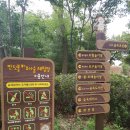 초안산 유아숲체험장 이미지