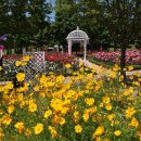 고인돌공원 Daum카페